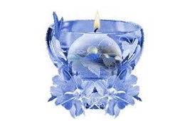 Một lời cầu xin khiêm tốn