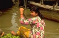 Em gái Cửu Long (Thơ)