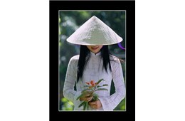 Người Mỹ nhận xét về người Việt Nam