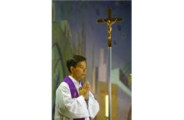 Đời cô Nụ (6 - 12)