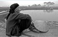 Túi gạo của Mẹ