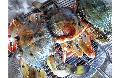 Ăn đồ biển ở Cam Bình hoang sơ