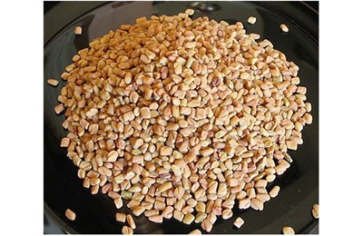 Methi seeds : trị bệnh Tiểu đường