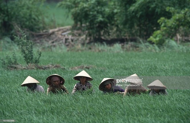 Hình ảnh về phụ nữ Việt Nam thập niên 1990