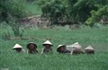 Hình ảnh về phụ nữ Việt Nam thập niên 1990