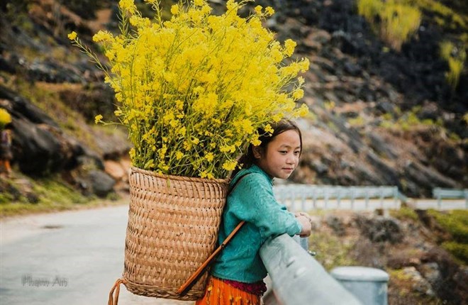 Đến Hà Giang mùa xuân, ngẩn ngơ nhìn đá nở hoa