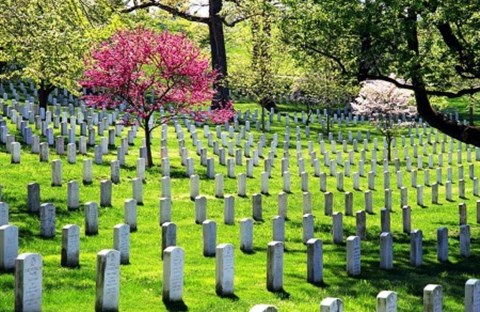 Nghĩa trang quốc gia Arlington và ý nghĩa của sự hòa giải đích thực