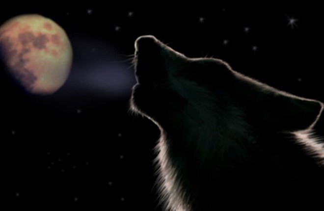 Trăng sói, trăng tuyết, trăng hồng… là trăng gì?