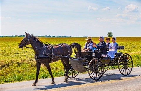 16 sự thật về lối sống tách biệt với thế giới hiện đại của người Amish