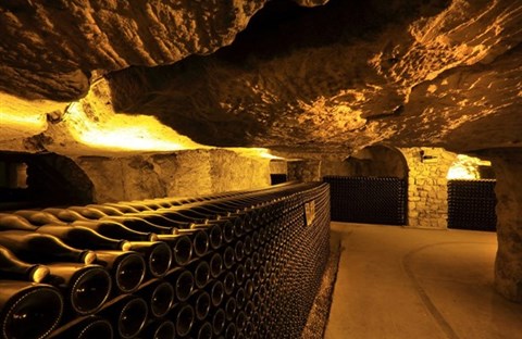Bí mật hầm vang ở Champagne