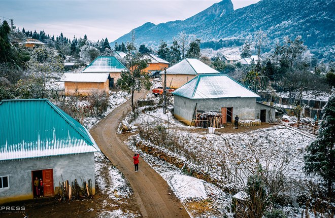 Sắc hoa xuân vùng cao