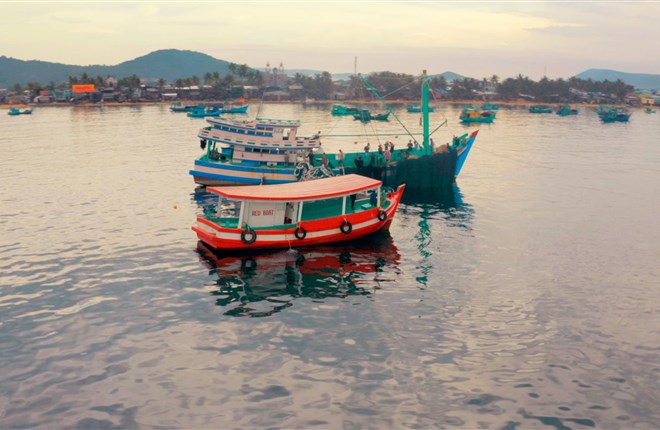 Nhớ mùi nước mắm quê, bèn gầy dựng hãng nước mắm ở Mỹ