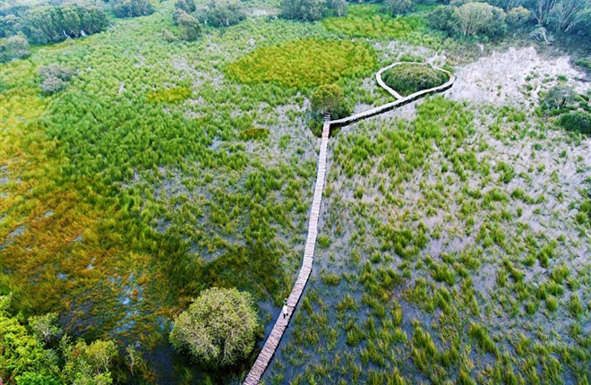 Đẹp hút hồn Cánh Đồng Bất Tận