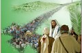 Vấn đề Thương Khó Chúa Giêsu trước Lịch sử