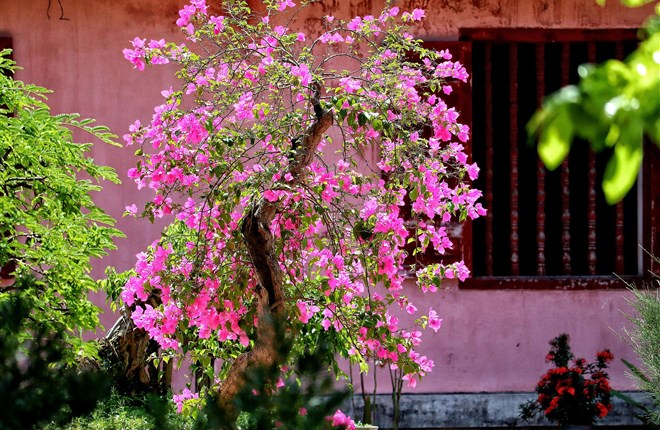 Huế niềm nhớ không phai