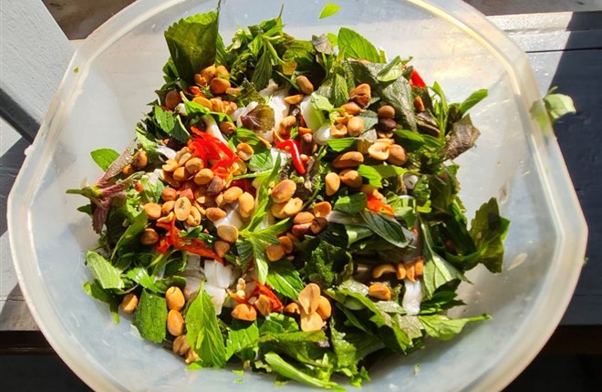 Mai về ăn gỏi cá mai cho má vui