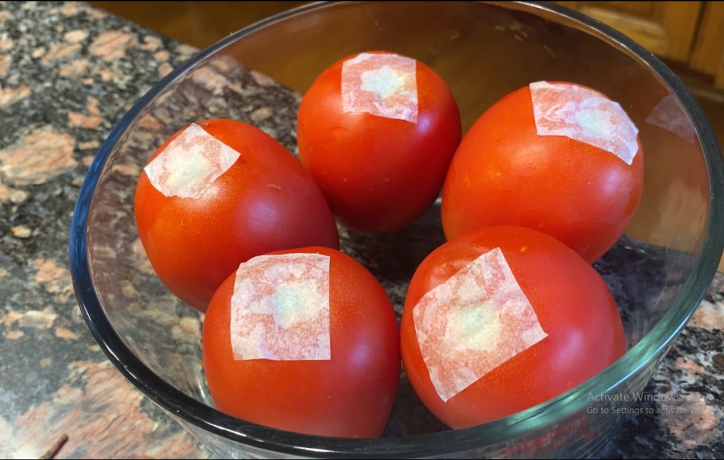 Mẹo bảo quản cà chua không cần tủ lạnh - 1