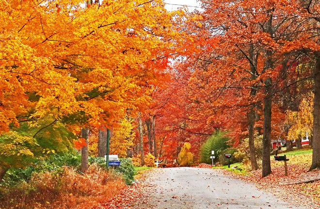 Mùa thu trên những cánh đồng