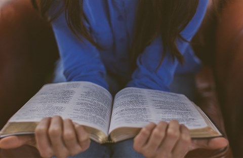 Kinh Thánh: Một cuốn sách về những chân lý thiết yếu