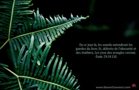 Thứ Sáu Tuần 1 Mùa Vọng