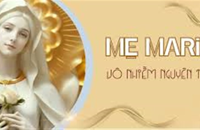 Thứ Hai 8/12 : Lễ Đức Mẹ Vô Nhiễm Nguyên Tội