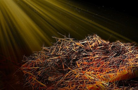 Thứ Tư 24/12 Tuần 4 Mùa Vọng A