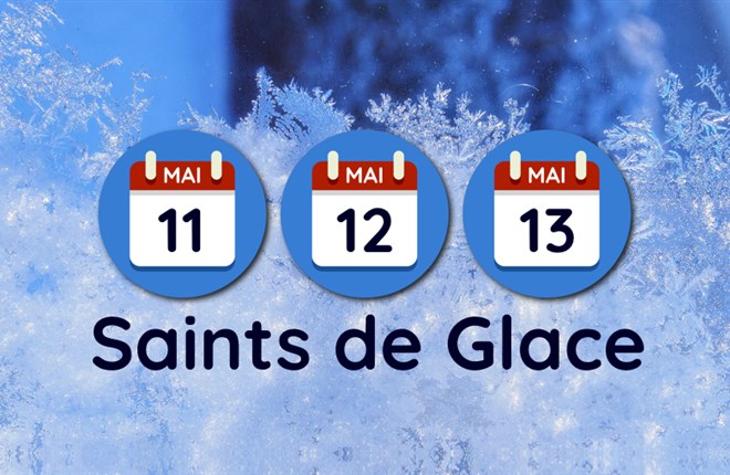 Làm vườn bên Pháp : "Saints de glace" = Ngày Thánh băng giá là gì ?