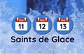 Làm vườn bên Pháp : "Saints de glace" = Ngày Thánh băng giá là gì ?