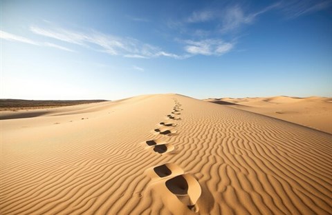 Thứ Năm Tuần thứ 2 Mùa Chay