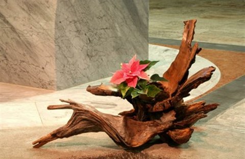 Thứ Ba, Tuần thứ 3 Mùa Chay