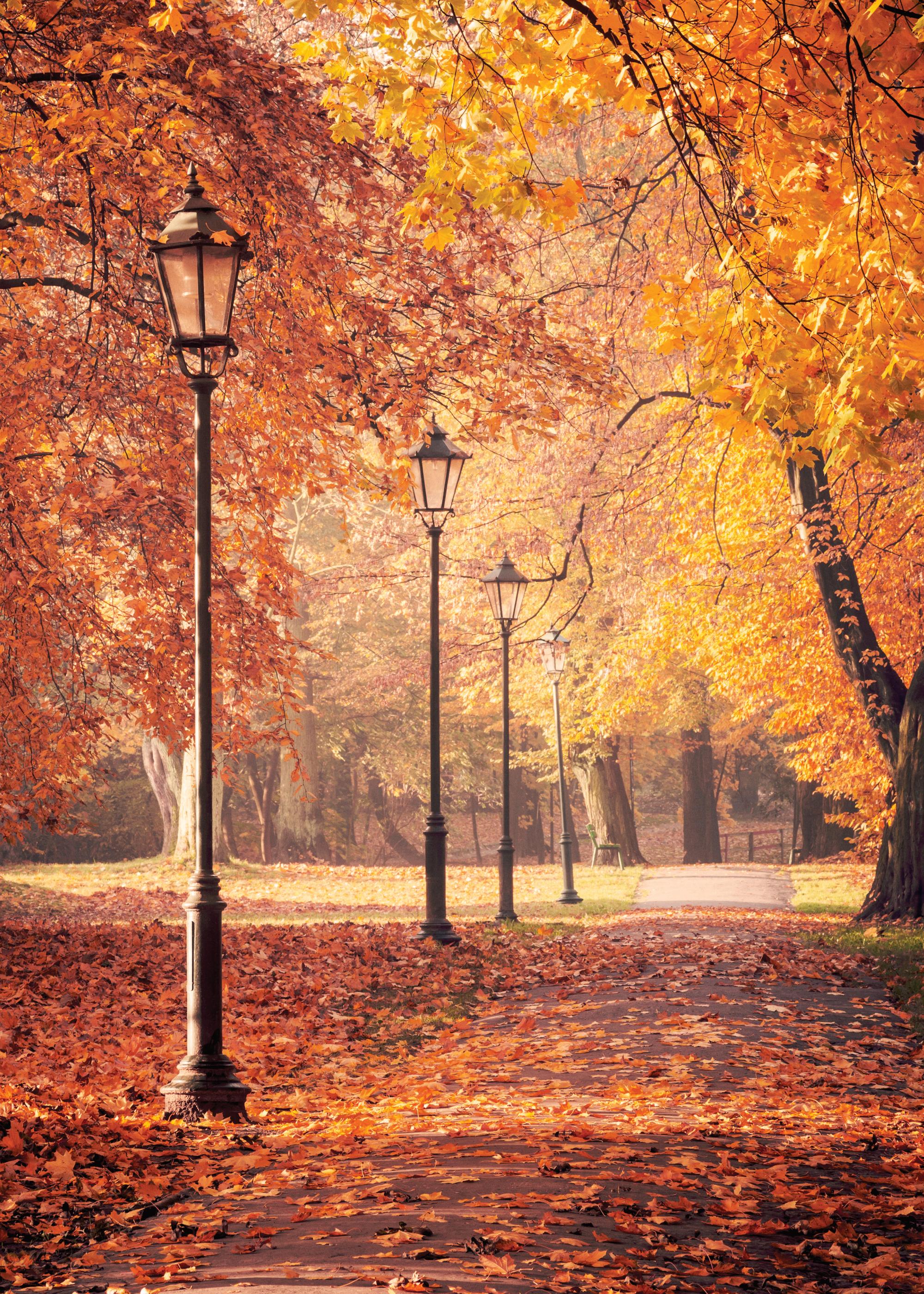 Automne2026