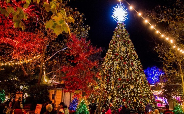 21 cây thông Noel khổng lồ nhất trên thế giới - 4