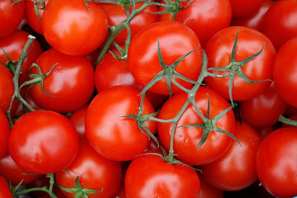 Cà chua và sức khỏe con người - 10
