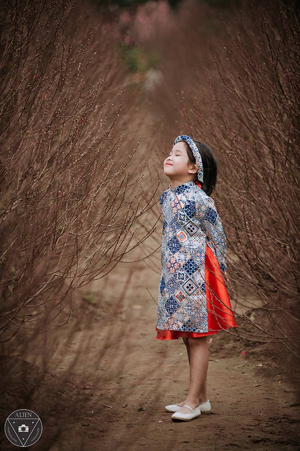 Bé gái 6 tuổi diện áo dài bên vườn đào - 1