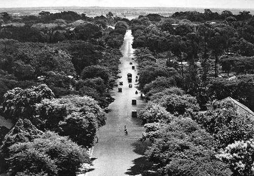 Năm đại lộ đầu tiên của Sài Gòn xưa - 3