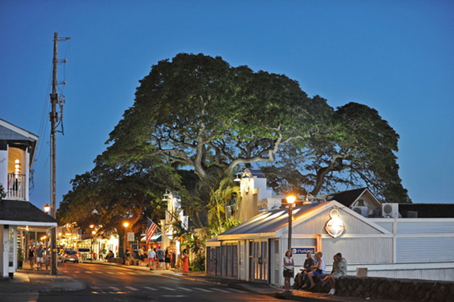 10 thị trấn rực rỡ, đẹp nhất ở Hawaii - 7