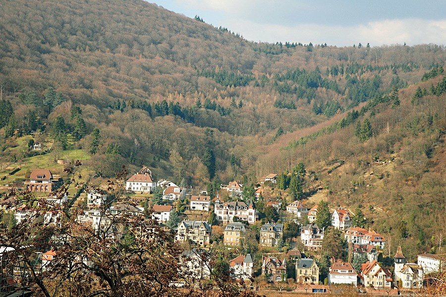Lâu đài Heidelberg - dấu ấn kiến trúc và lịch sử nước Đức - 9