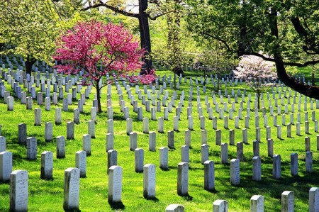 Nghĩa trang quốc gia Arlington và ý nghĩa của sự hòa giải đích thực - 1