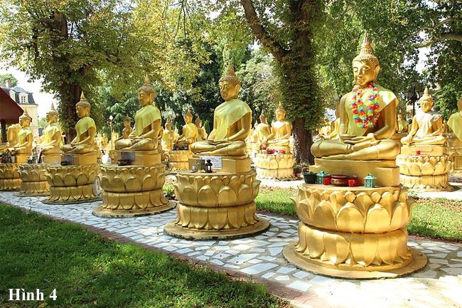 Công viên tượng Phật - Siêu thị tượng Phật - 4
