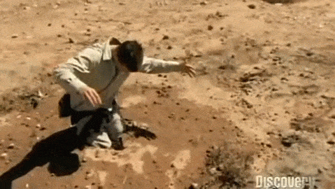 Giải mã một trong những cái chết đáng sợ nhất lịch sử: cát lún - 3
