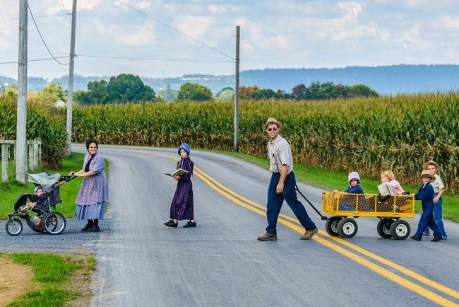 16 sự thật về lối sống tách biệt với thế giới hiện đại của người Amish - 3