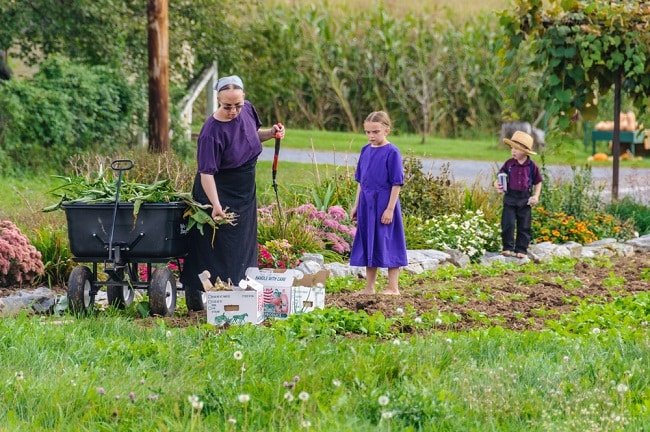 16 sự thật về lối sống tách biệt với thế giới hiện đại của người Amish - 4