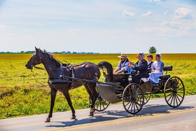 16 sự thật về lối sống tách biệt với thế giới hiện đại của người Amish - 1
