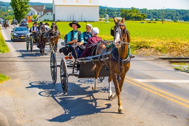 16 sự thật về lối sống tách biệt với thế giới hiện đại của người Amish - 5