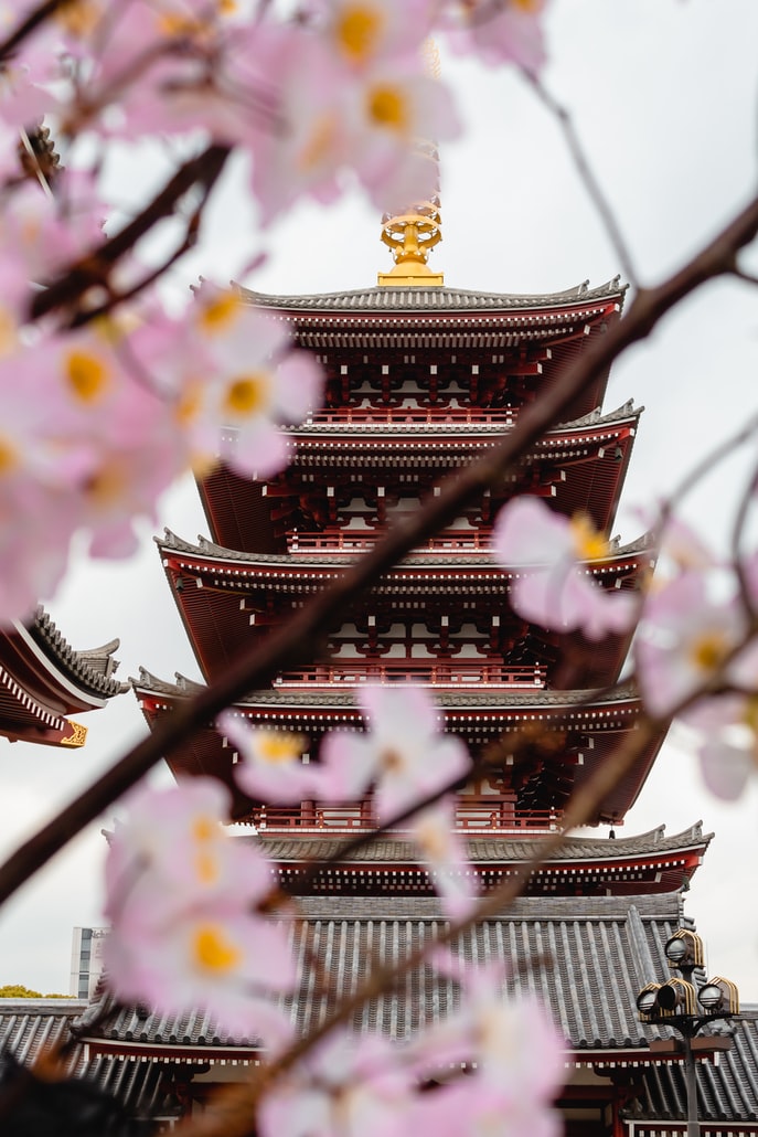 Tại sao những ngôi chùa cổ ở Nhật đứng - 8