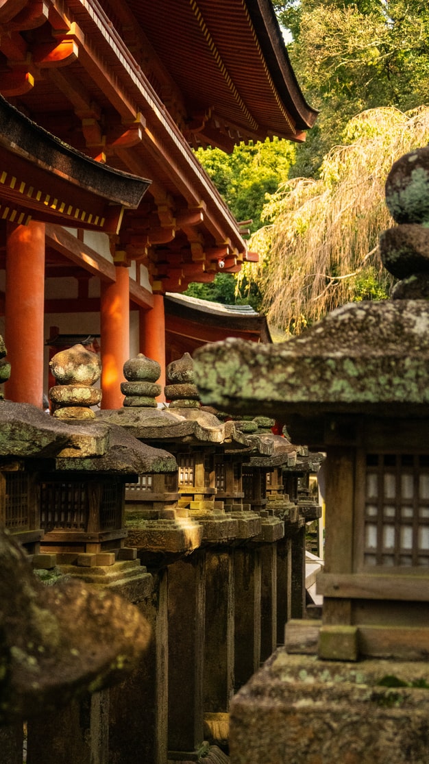 Tại sao những ngôi chùa cổ ở Nhật đứng - 7