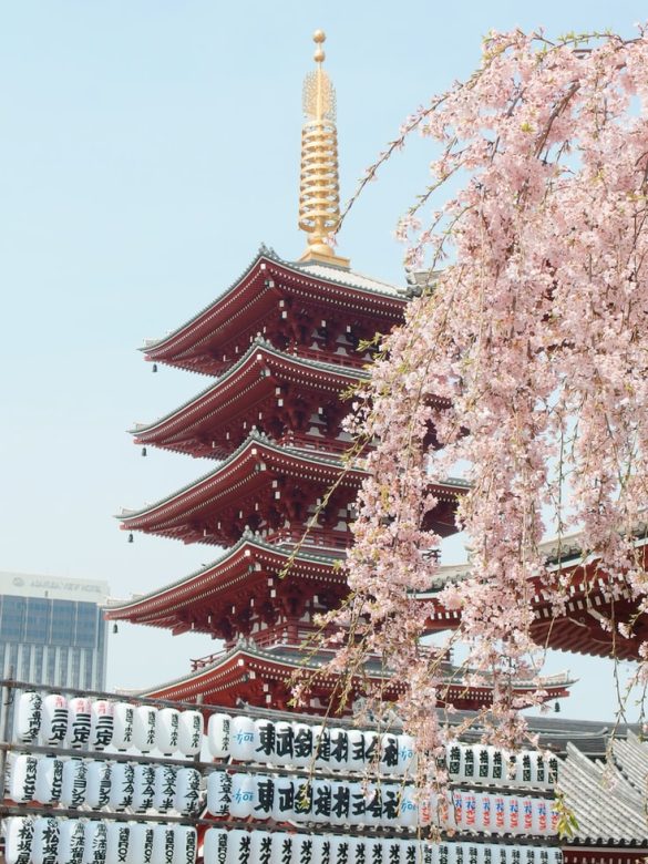 Tại sao những ngôi chùa cổ ở Nhật đứng - 1