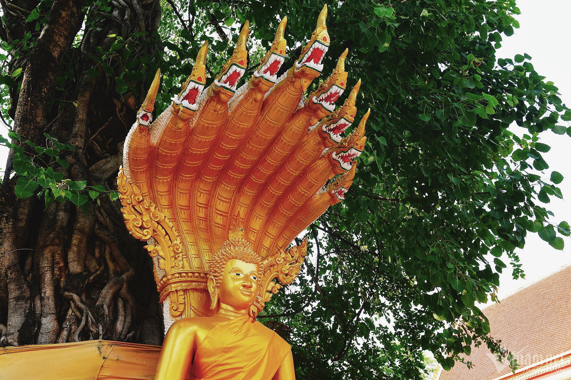 Ngôi chùa thờ người phụ nữ mang thai là cột trụ trấn giữ nước Lào - 7