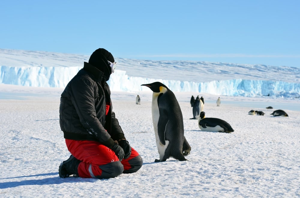 Nam Cực – Vùng Đất Tận Cùng Trái Đất - 5