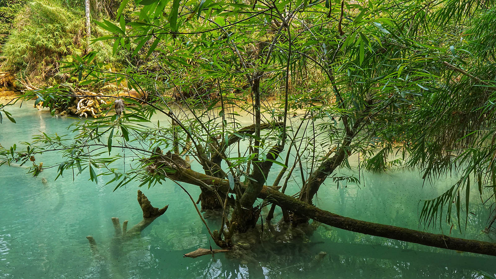 Kuang Si - Thác nước đầy kiêu hãnh của cố đô Luang Prabang - 4